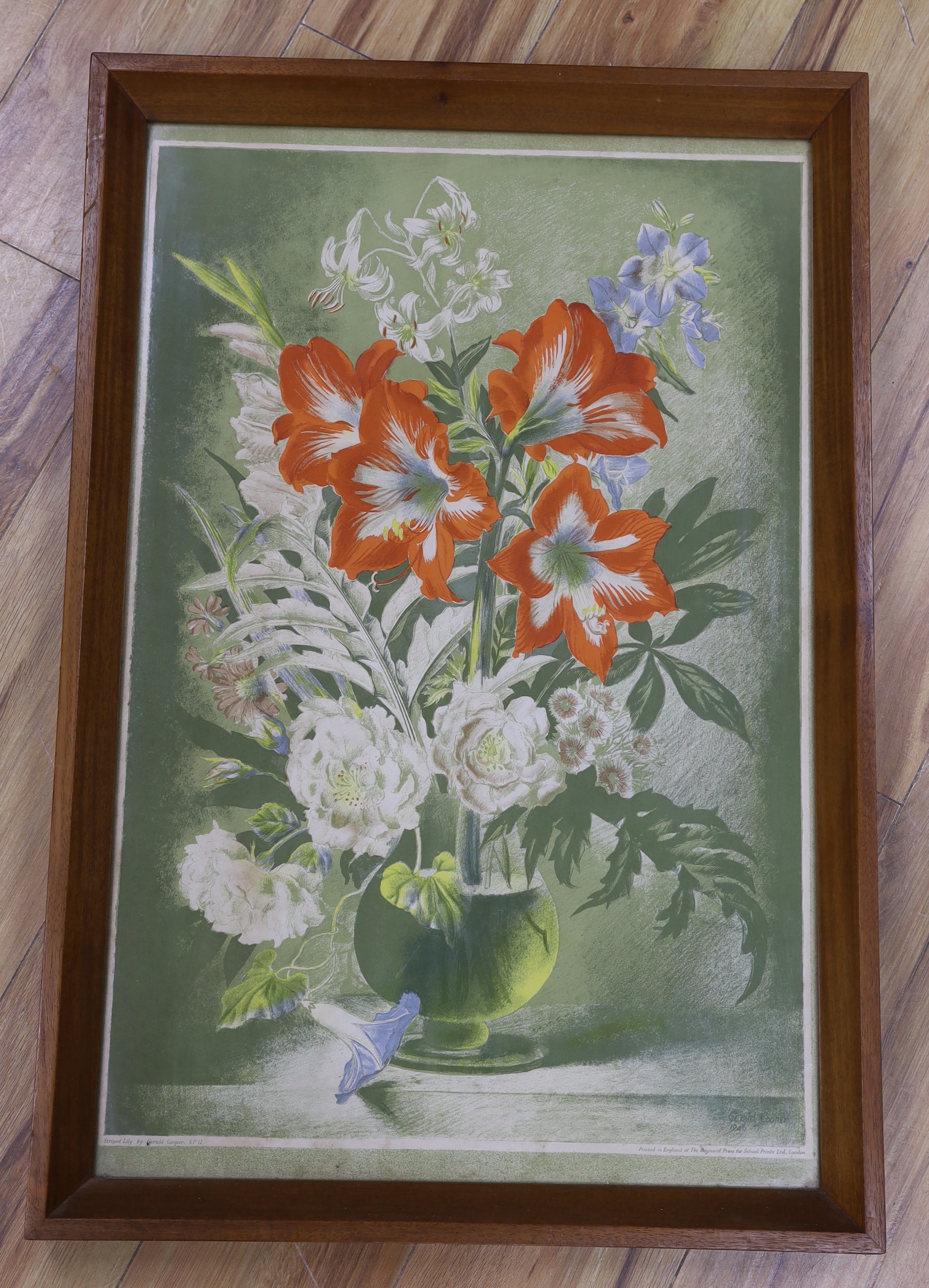 Gerald Cooper (1898-1975), School Print, 'Stripped Lily', SP12, 73 x 47cm